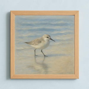 Sandpiper Wall Art – Soft Shorebird Coastal Print, Neutral Beach Decor for Nursery or Cottage