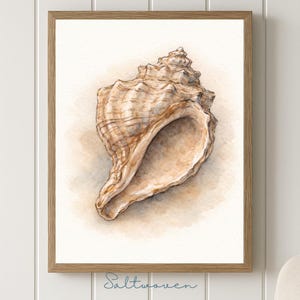 Wellhornschnecke Muschel Wand Kunst, Küsten Aquarell Muschel Druck, Muschel Illustration, Neutral Strand Haus Dekor