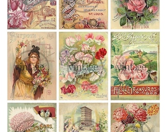 Puede incluir: Un collage de anuncios vintage de semillas y flores. Los anuncios presentan ilustraciones coloridas de flores, incluyendo rosas, guisantes de olor y crisantemos. El texto de los anuncios incluye los nombres de las empresas, el año y los tipos de semillas o flores que se venden.