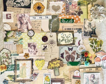 60-100 pieces! The Naturalist Junk Journal Mystery Pack: Vintage Nature Botanical Theme, Ephemera, Flowers, Fairies