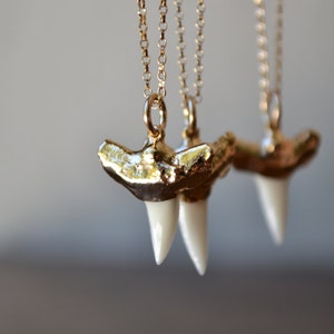 MINI CHOMP /// Gold Necklace, Layering, Beach, Ocean, Shark Teeth, Gifts for her, Birthday Gifts, Bohemian Jewelry, Festival Jewelry