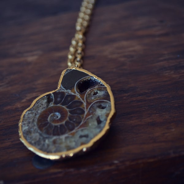 ANCIENT TALISMAN /// Ammonite Fossil Necklace /// Electroformed Gemstone  /// Gold