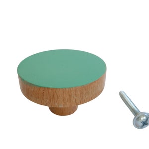 K&ouml;nnte beinhalten: Ein gr&uuml;ner und h&ouml;lzerner Knopf mit einer Schraube. Der Knopf ist rund und hat eine flache Oberseite. Die Schraube ist silberfarben.