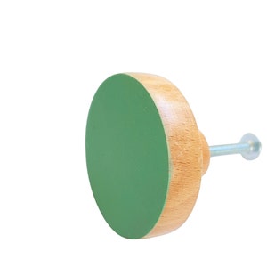 K&ouml;nnte beinhalten: Ein runder Holz-Knopf mit einer gr&uuml;n lackierten Oberseite und einer silbernen Schraube. Der Knopf ist ein Dekorationsartikel f&uuml;r das Zuhause.