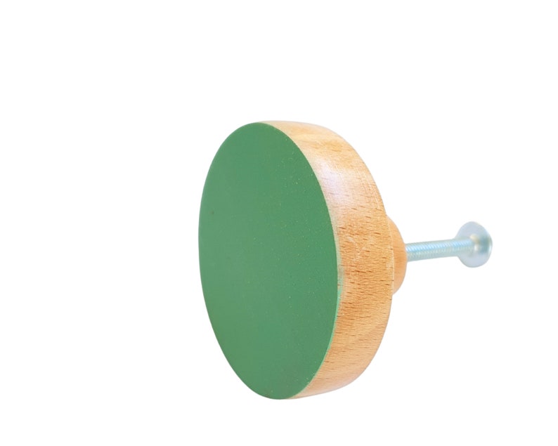 K&ouml;nnte beinhalten: Ein runder Holz-Knopf mit einer gr&uuml;n lackierten Oberseite und einer silbernen Schraube. Der Knopf ist ein Dekorationsartikel f&uuml;r das Zuhause.