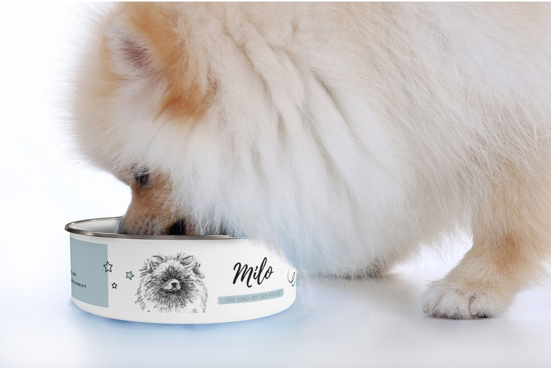 Pomeranian Dog Custom Name Dog Bowl Personalized Pet Bowl Etsy