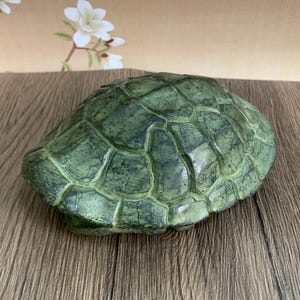 May include: A decorative turtle shell sculpture in shades of green and black. The shell has a textured, segmented pattern. The sculpture is placed on a wooden surface.
