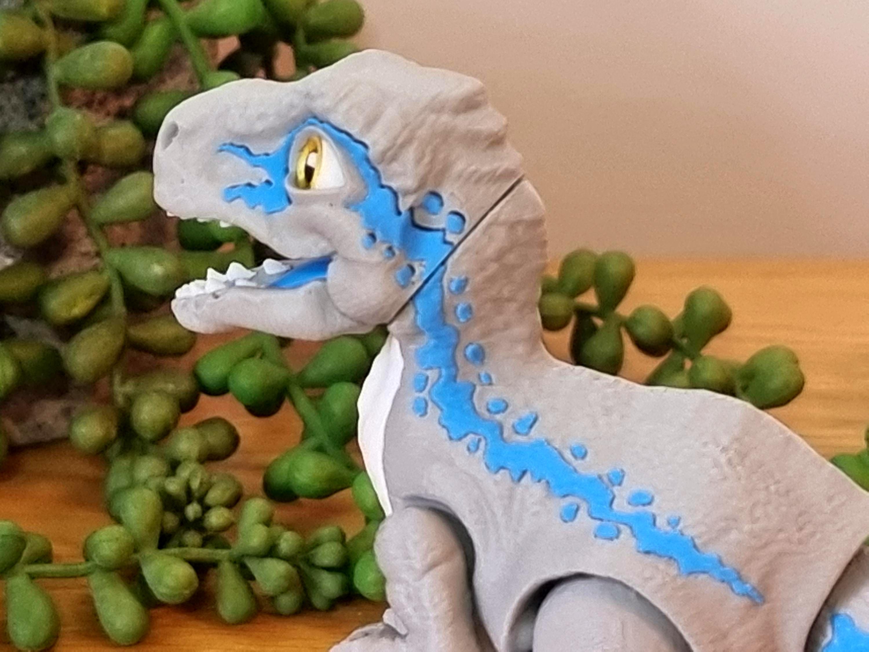 Posable Raptor Articulated Velociraptor Dinosaur – Grey & Cyan 3D Printed Figure ...