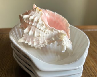 Vintage White Shell Appetizer Plate | Trinket Dish | Dipping Bowl | Spoon Rest