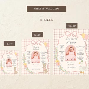 May include: A set of three baby milestone posters in different sizes: 8x10 inches, 16x20 inches, and 24x30 inches. Each poster features a photo of a baby, with text that reads "Alisa is one silly goose". The posters have a pink and white gingham background.