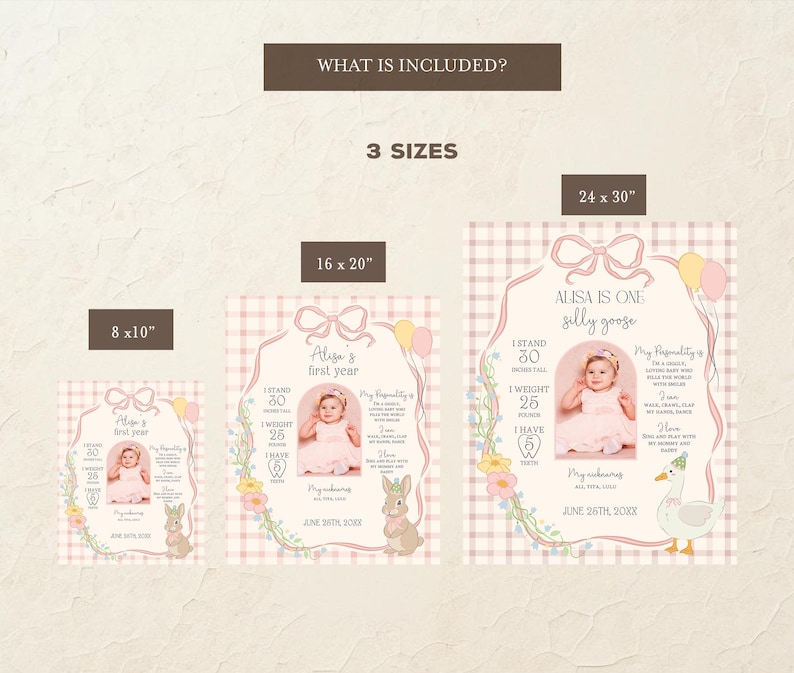 May include: A set of three baby milestone posters in different sizes: 8x10 inches, 16x20 inches, and 24x30 inches. Each poster features a photo of a baby, with text that reads "Alisa is one silly goose". The posters have a pink and white gingham background.