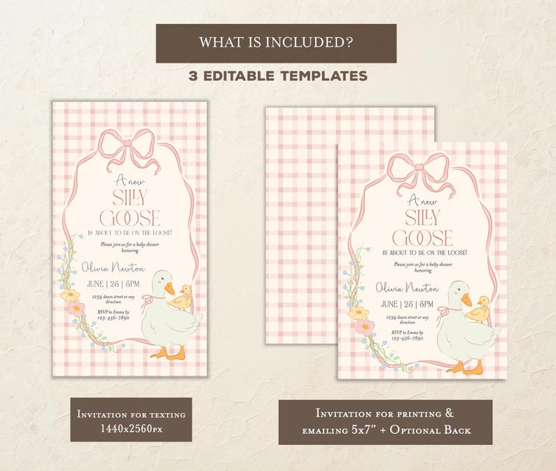Op de afbeelding: Drie bewerkbare sjablonen voor een babyshower-uitnodiging. De uitnodiging heeft een roze en witte ruitjesachtergrond met een schattige illustratie van een gans en de tekst "Een nieuwe, dwaze gans is op komst!" De uitnodiging is verkrijgbaar in twee formaten: 1440x2560 pixels voor sms'en en 5x7 inch voor afdrukken.
