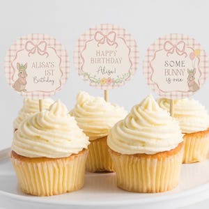 May include: Four cupcakes with pink and white checkered cupcake toppers. The toppers feature a bunny rabbit and the text "Alisa's 1st Birthday", "Happy Birthday Alisa!" and "Some Bunny is One".