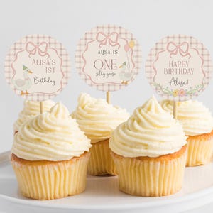 May include: Four cupcakes with pink and white checkered cupcake toppers. The toppers say "Alisa's 1st Birthday", "Alisa is One silly goose", and "Happy Birthday Alisa!"