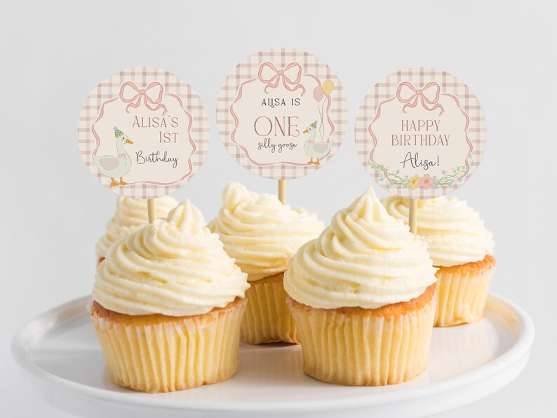 May include: Four cupcakes with pink and white checkered cupcake toppers. The toppers say "Alisa's 1st Birthday", "Alisa is One silly goose", and "Happy Birthday Alisa!"