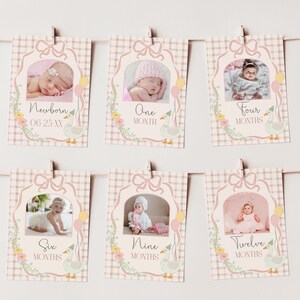 May include: A set of 10 pink and white baby milestone cards with a goose design. Each card features a different age, from newborn to 12 months, and a space for a photo. The cards are decorated with flowers and a pink and white gingham pattern.
