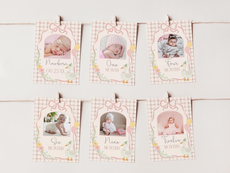 May include: A set of 10 pink and white baby milestone cards with a goose design. Each card features a different age, from newborn to 12 months, and a space for a photo. The cards are decorated with flowers and a pink and white gingham pattern.