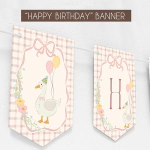 May include: A banner with the text "HAPPY BIRTHDAY" and individual pennants. Each pennant has a pink gingham pattern, a bow, and a cartoon goose wearing a party hat and holding balloons. The banner is strung on a white string.