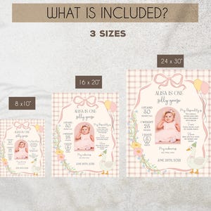 Puede incluir: Tres dise&ntilde;os imprimibles para una fiesta de primer cumplea&ntilde;os. Los dise&ntilde;os presentan un patr&oacute;n de cuadros rosa y blanco con una cinta rosa y un ganso. El texto dice "Alisa tiene un a&ntilde;o, ganso tonto". Los dise&ntilde;os est&aacute;n disponibles en tres tama&ntilde;os: 8x10 pulgadas, 16x20 pulgadas y 24x30 pulgadas.