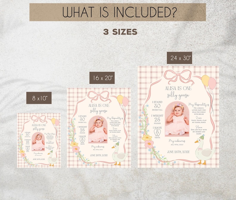 Puede incluir: Tres dise&ntilde;os imprimibles para una fiesta de primer cumplea&ntilde;os. Los dise&ntilde;os presentan un patr&oacute;n de cuadros rosa y blanco con una cinta rosa y un ganso. El texto dice "Alisa tiene un a&ntilde;o, ganso tonto". Los dise&ntilde;os est&aacute;n disponibles en tres tama&ntilde;os: 8x10 pulgadas, 16x20 pulgadas y 24x30 pulgadas.