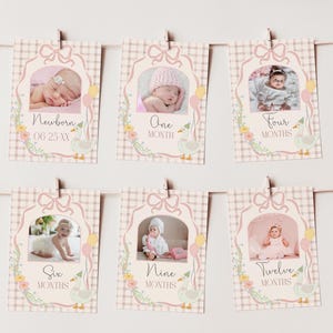 May include: A set of 10 pink and white baby milestone cards with a goose design. Each card features a different age, from newborn to 12 months, and a space for a photo. The cards are decorated with flowers and a pink and white gingham pattern.