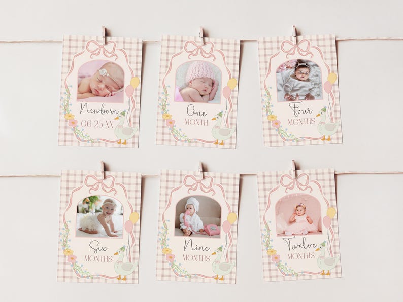 May include: A set of 10 pink and white baby milestone cards with a goose design. Each card features a different age, from newborn to 12 months, and a space for a photo. The cards are decorated with flowers and a pink and white gingham pattern.
