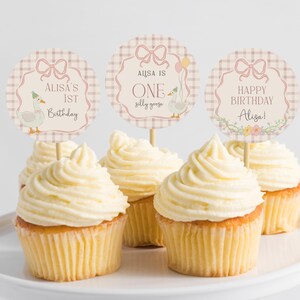 Puede incluir: Cuatro cupcakes con adornos de cupcakes a cuadros rosa y blanco. Los adornos dicen "Alisa's 1st Birthday", "Alisa is One silly goose", y "Happy Birthday Alisa!"