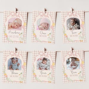 Puede incluir: Un conjunto de 6 tarjetas de hitos para beb&eacute;s en rosa y blanco con un dise&ntilde;o de ganso. Cada tarjeta presenta una edad diferente, desde reci&eacute;n nacido hasta cinco meses, y una foto de un beb&eacute;. Las tarjetas est&aacute;n decoradas con flores y un patr&oacute;n a cuadros.