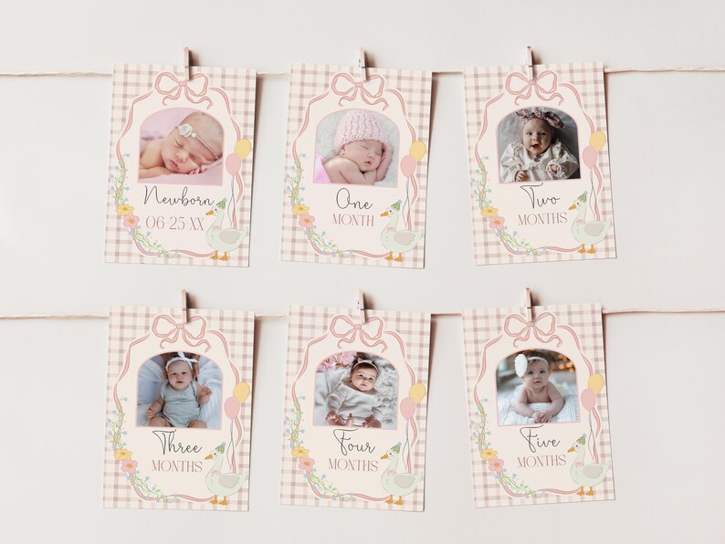 Puede incluir: Un conjunto de 6 tarjetas de hitos para beb&eacute;s en rosa y blanco con un dise&ntilde;o de ganso. Cada tarjeta presenta una edad diferente, desde reci&eacute;n nacido hasta cinco meses, y una foto de un beb&eacute;. Las tarjetas est&aacute;n decoradas con flores y un patr&oacute;n a cuadros.