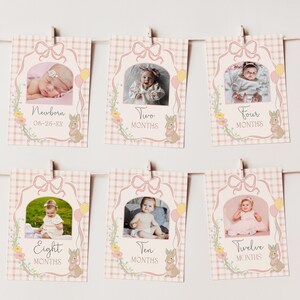 May include: Pink and white baby milestone photo cards with a bunny rabbit design. Each card features a different age from newborn to twelve months. The cards are strung together with twine and have a pink and white gingham pattern.