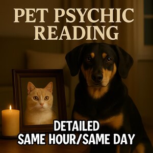 “Pet psychic reading image with a dog and cat symbolizing animal communication, energy connection, and intuitive emotional messages.”