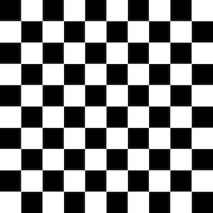 May include: A black and white checkered pattern, composed of evenly sized squares. The alternating pattern creates a grid-like design, with each square clearly defined. The pattern is a classic design element.