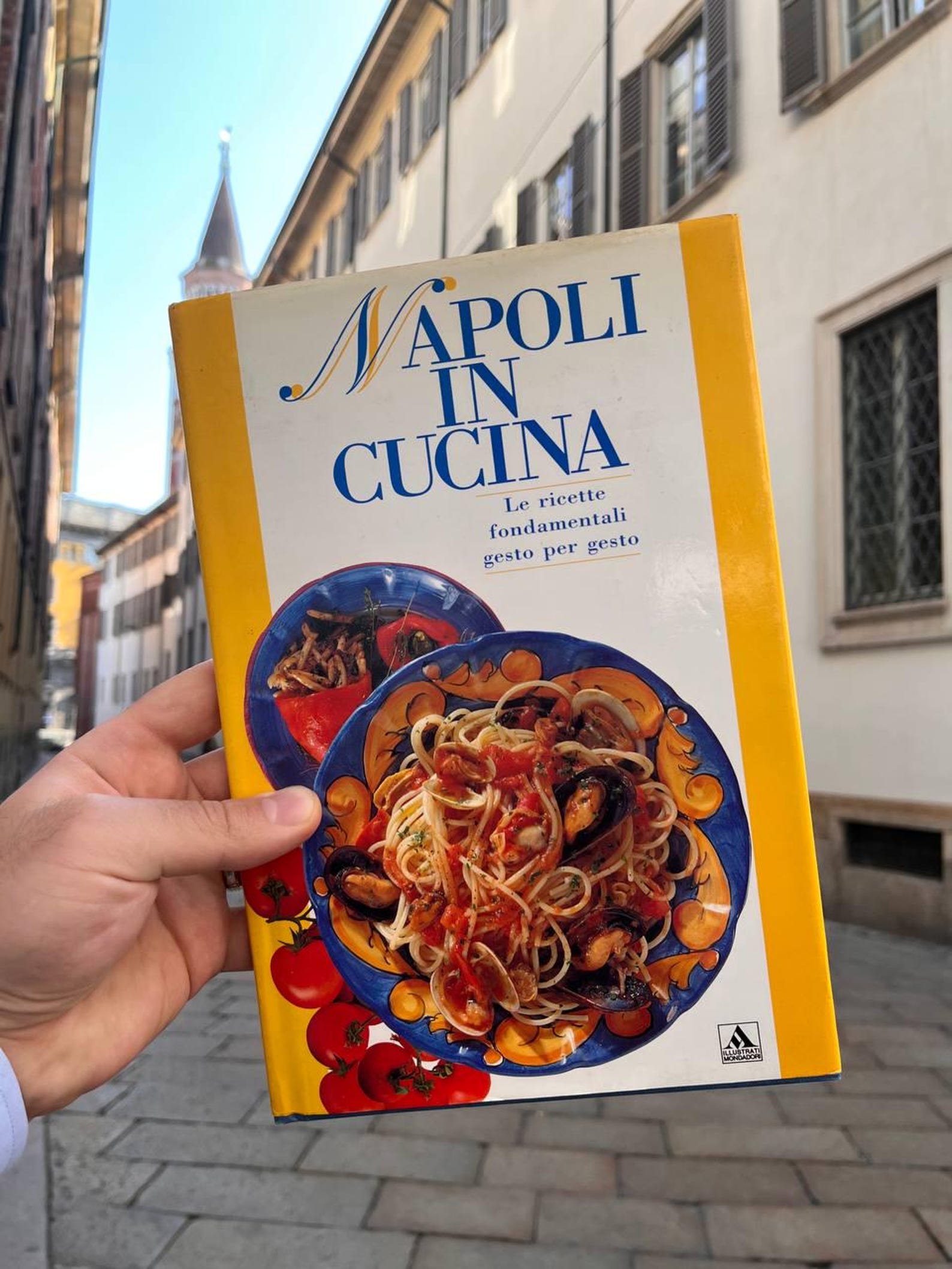 Vintage Italian Cookbook - Naple's Regional Cuisine - Etsy