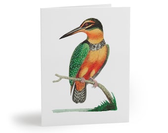 Colorful Bird Note Card Set, Wildlife Cards, Bird Lover note Cards, Nature Greeting Card Set, Blank Note Card Set, Pretty Nature Cards