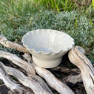 May include: A white ceramic bowl with a frilled edge. The bowl has a textured surface and is placed on driftwood. The background features green grass and foliage. This decorative bowl is suitable for serving or display.