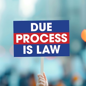 May include: A blue and red sign with the text "DUE PROCESS IS LAW" in white letters.