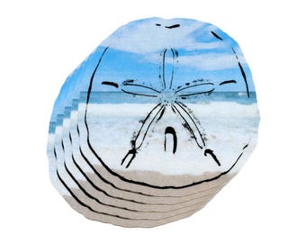 5er-Pack: Sanddollar - 3-Zoll-Aufkleber