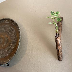 May include: A decorative wall-mounted plant holder made from a piece of wood, holding a small plant with green and white leaves. To the left is a round, ornate metal tray with a detailed pattern, mounted on the wall.