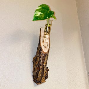 Hängande enkelrörs förökningslampa med återvunnet träbas