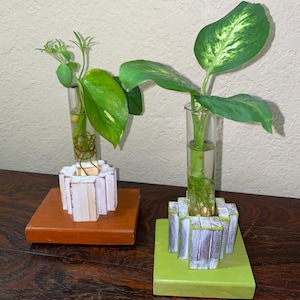 Puede incluir: Dos pequeños jarrones de cristal con plantas, cada uno sobre una base de madera. Una base es marrón, la otra verde. Los jarrones están sujetos por estructuras decorativas de madera blanca y gris. Las plantas tienen hojas verdes.