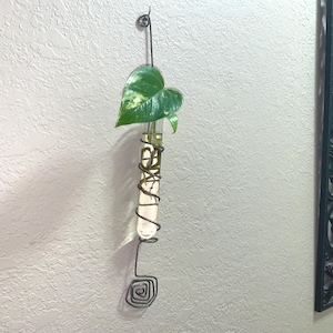 Puede incluir: Un jarrón de propagación de vidrio transparente con una hoja verde y amarilla. El jarrón está envuelto con alambre decorativo y cuelga de un gancho de pared. El diseño incluye una espiral en la parte inferior.