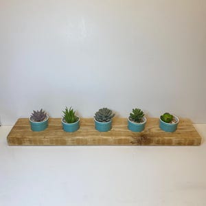 Op de afbeelding: Een houten plantenbak met vijf kleine vetplanten in turquoise potten. De potten zijn in een rij gerangschikt op een lange, rechthoekige, lichtbruine houten basis. De vetplanten variëren in kleur en vorm.