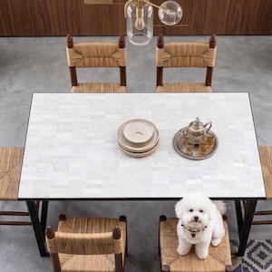 Könnte beinhalten: Draufsicht auf ein Esszimmer-Set mit einem weißen rechteckigen Tisch, sechs Stühlen mit gewebten Sitzen und Rückenlehnen und einem kleinen weißen Hund, der auf einem der Stühle sitzt. Der Tisch ist mit Tellern und einem Teeservice gedeckt.