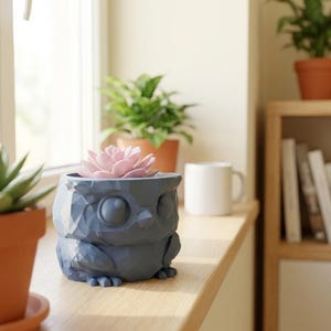 Könnte beinhalten: Ein blauer, eulenformiger Blumentopf mit geometrischem Design, der eine rosa Sukkulente enthält. Der Topf steht auf einer Holzfensterbank, mit anderen Topfpflanzen und einer weißen Tasse im Hintergrund. Ein dekorativer Artikel.