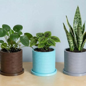 May include: Three cylindrical plant pots with matching saucers in brown, light blue, and gray. Each pot features a textured, ribbed exterior surface. The pots contain three different green houseplants, including a Pilea and a snake plant.