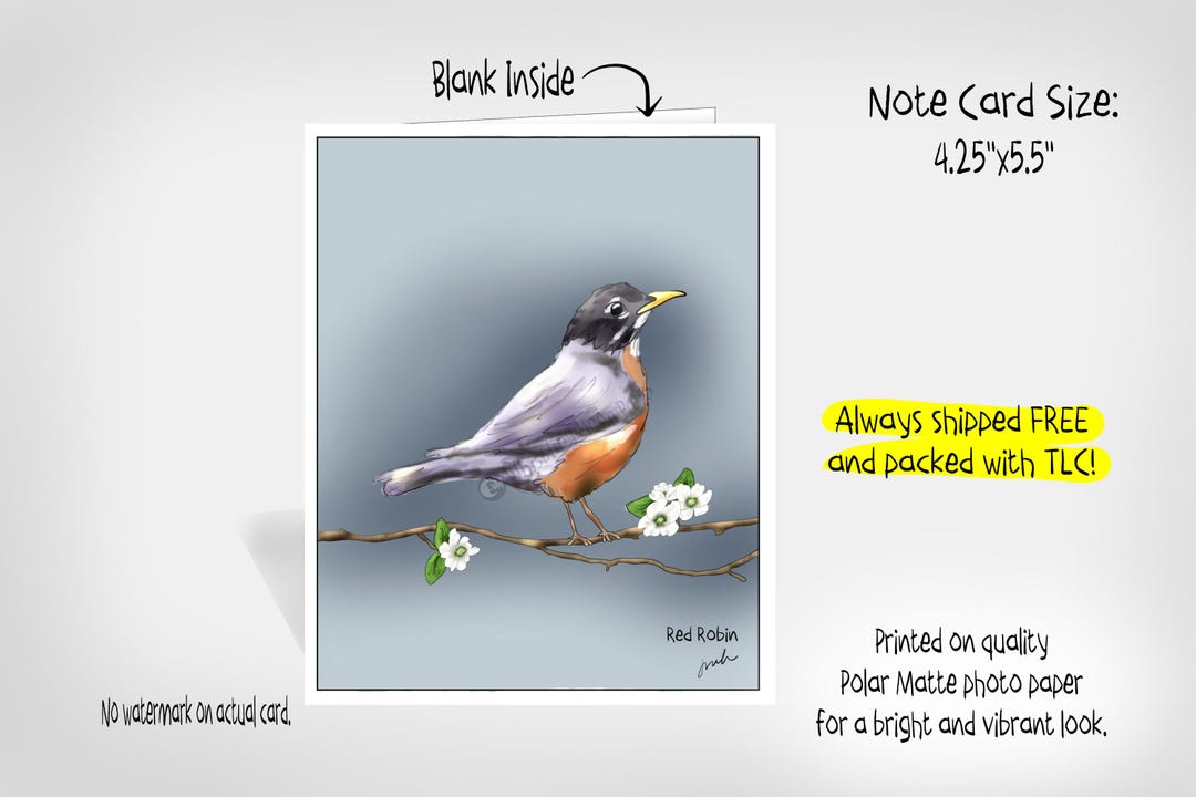 Blank Note Card: Red Robin - Etsy