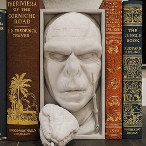 May include: A white 3D printed bust of a creature with a large nose and a snake figurine in front of it. The bust is in a wooden frame and is being used as a bookend. The books are titled "The Riviera of the Corniche Road" by Sir Frederick Treves, "The Shepherd's Calender" by Edmund Spenser, and "The Jungle Book" by Rudyard Kipling.