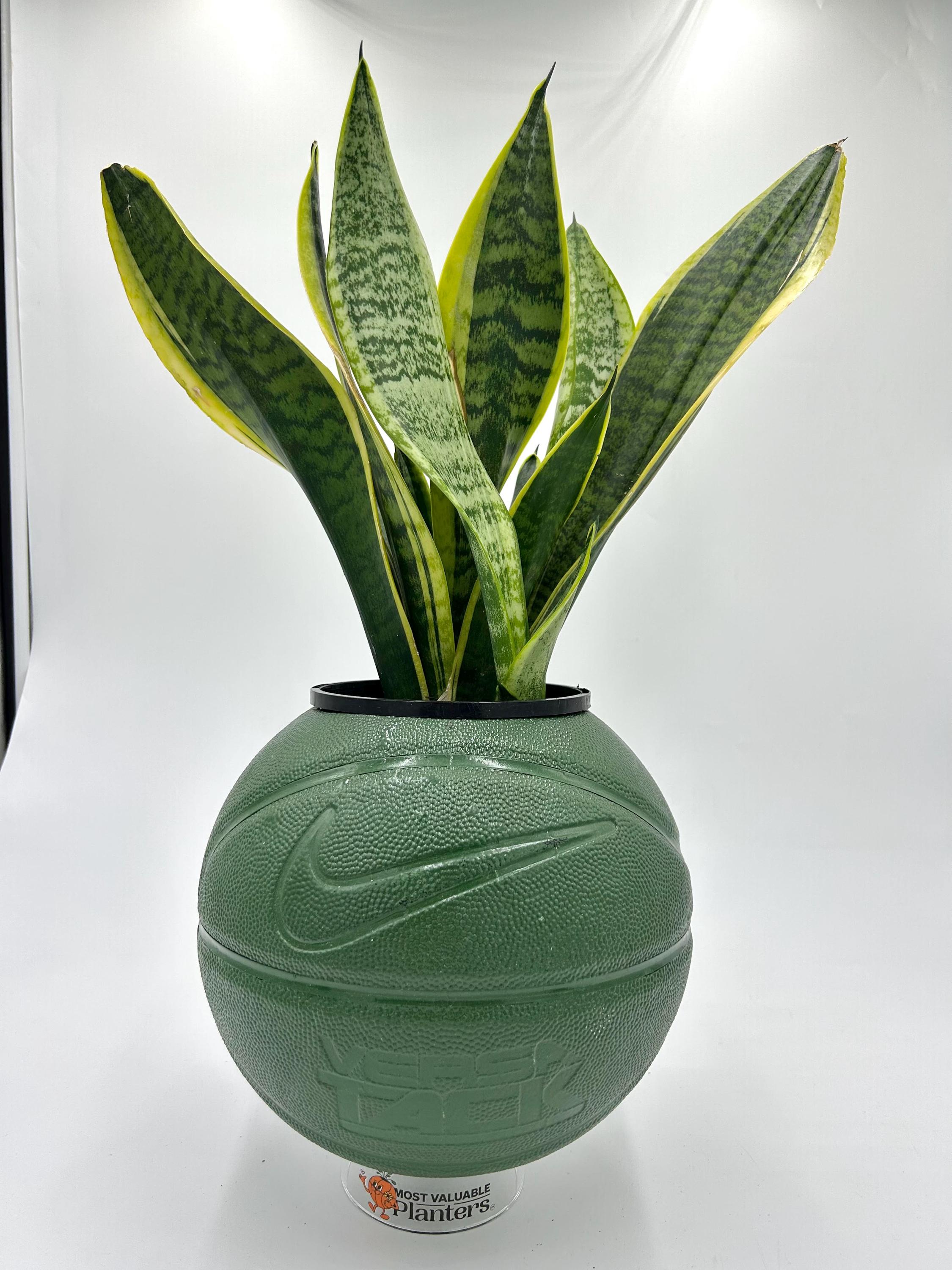 Custom Khaki Nike Versa Tack Basketball Planter