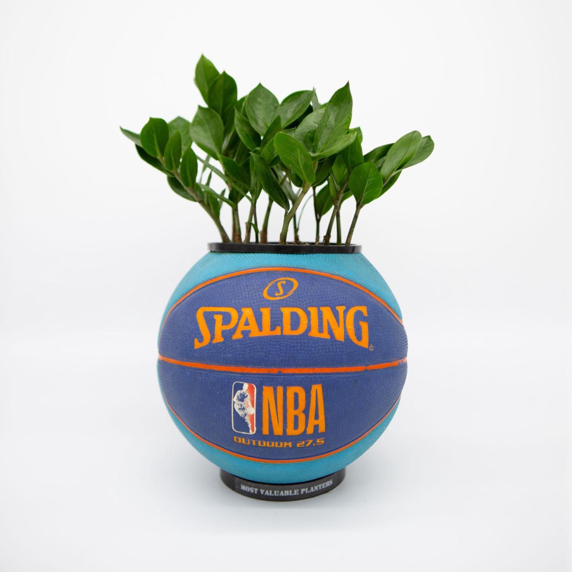 Spalding 'NBA Outdoor' Basketball-Blumentopf - Aqua, Lila & Orange
