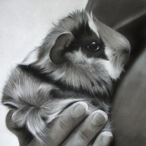 Guinea Pig Drawing Hand painted CUSTOM, Cavy lover, Pet Painting, From photo, Realistic Hand drawn, Original Memorial Art, Personalized gift image 1